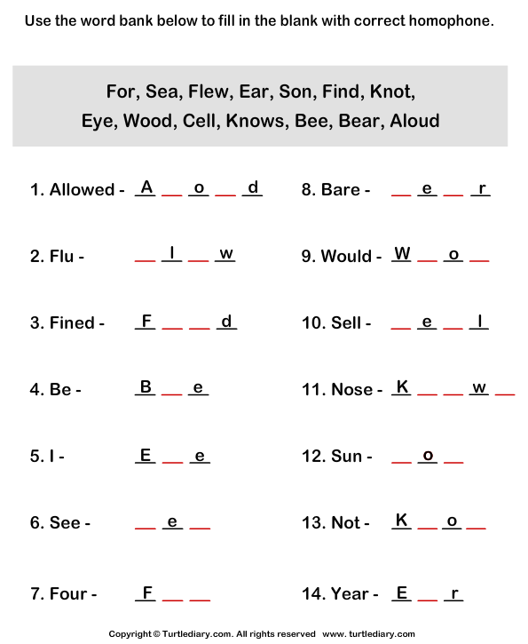 Complete The Homophones Worksheet