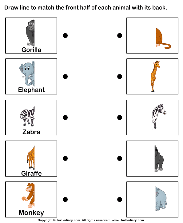 Match Animals