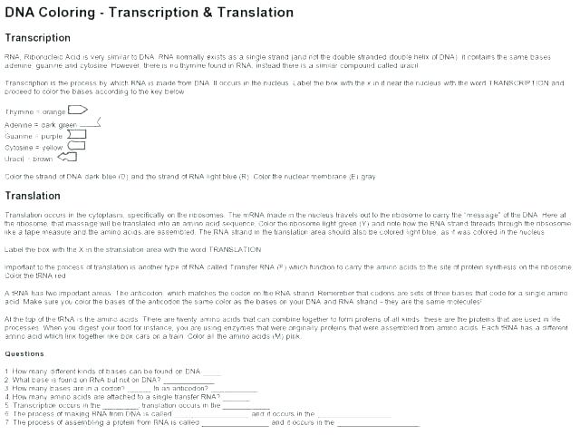 Dna Coloring Worksheet Cool Stock Of Transcription And Translation