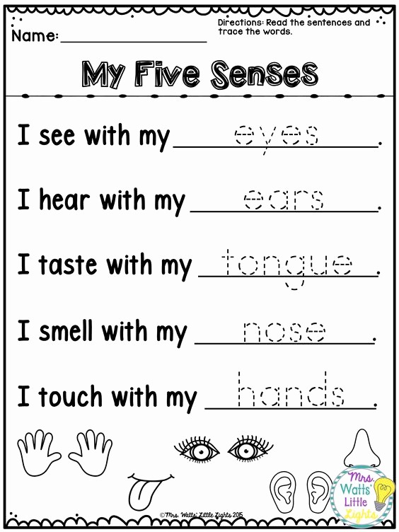 Templates Free Printable 5 Senses Worksheets For Kindergarten