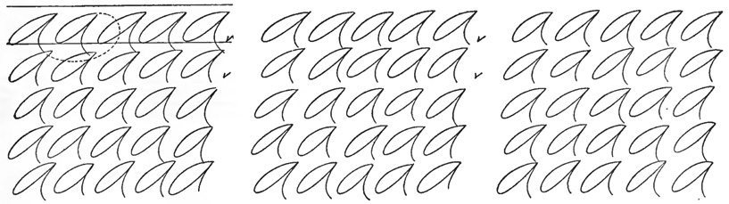 Drills â The Palmer Method Of Business Writing