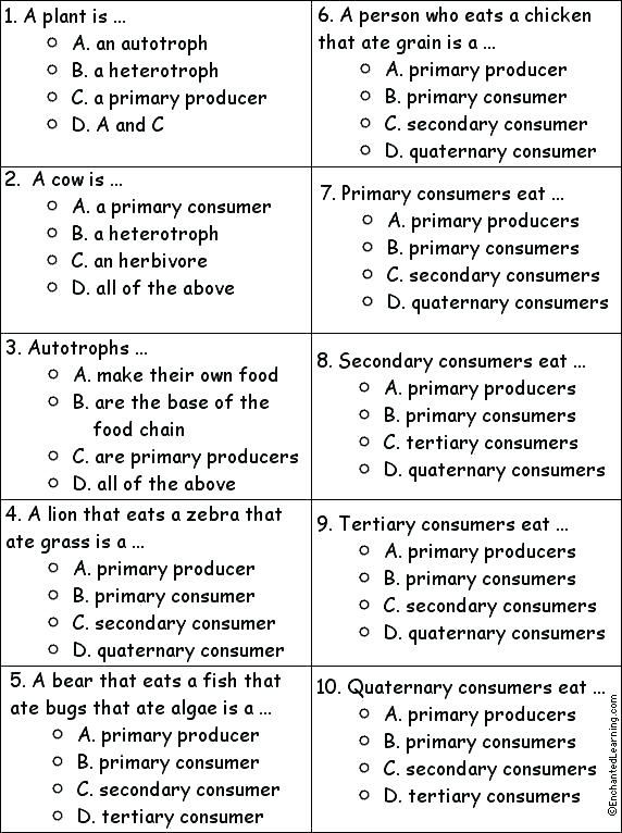 Ecology Worksheets For High School