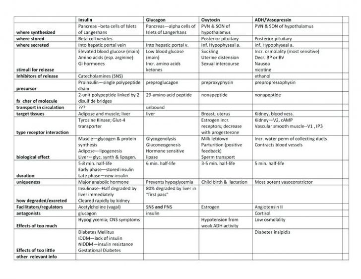 Endocrine Worksheet