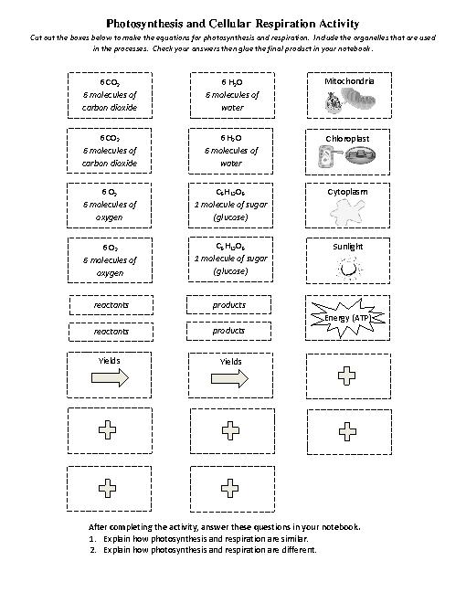 Research Essay For Plain English In Legal Writing (june 2014