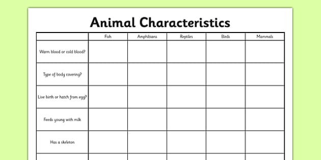 Animal Characteristics Worksheet   Worksheet