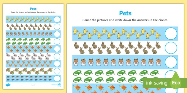 Pets Counting 11