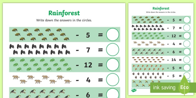 Rainforest
