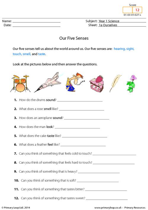 Five Sense Worksheet  New 18 Five Senses Worksheets For Year 1