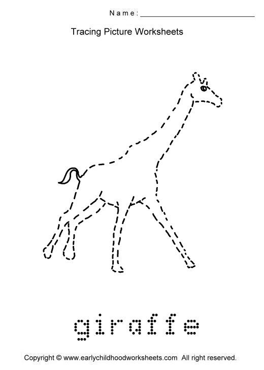 Trace Animals