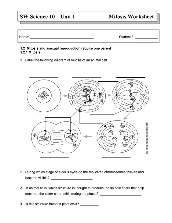 Alfred Wuver (alfredwuver) On Worksheets Samples