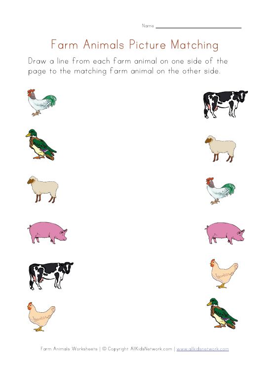 Farm Animals For Preschoolers