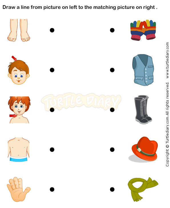 Body Parts Prek Worksheets