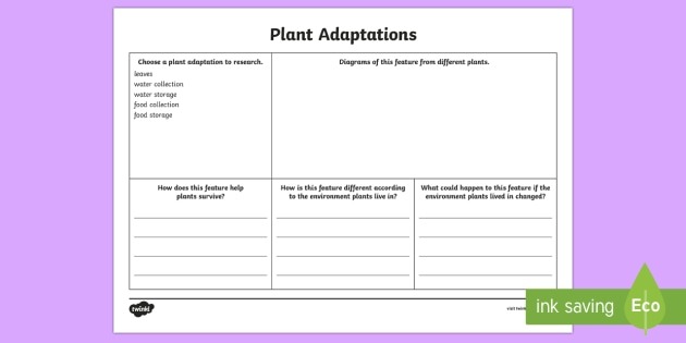 Plant Adaptations Research Worksheet   Worksheet
