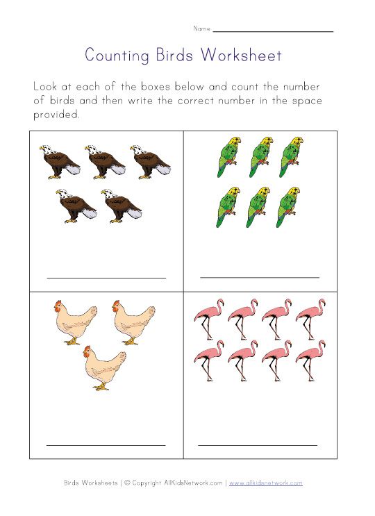 Bird Worksheets, Matching, Counting, Spelling And Handwriting