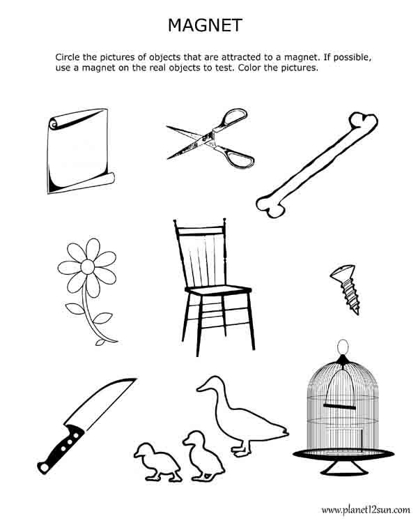 Magnetism  Magnets  Worksheet For 3rd And 4th Grade