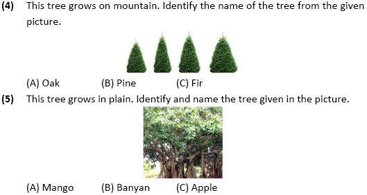 Class 4 Science Worksheets On Adaptations