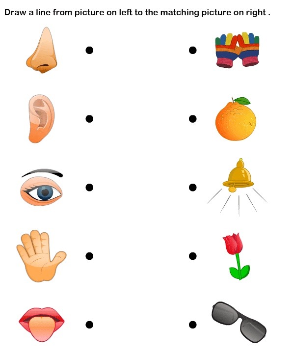Body Parts Preschool On Clipart Library