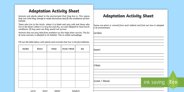 Adaptation Worksheet