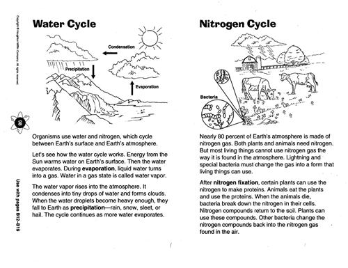 Zola, D   Science Chapter 8 Diagram Of The Water Cycle