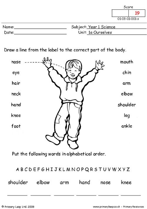 Parts Of The Body