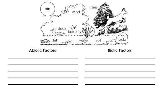 Ecology Biotic And Abiotic Factors Worksheet