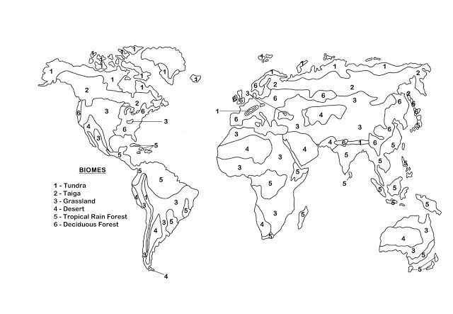 Color By Number Biomes Of The World