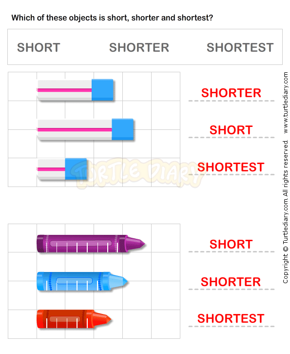 Length Measurement Worksheet16