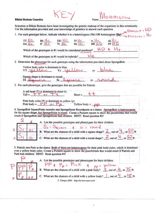 54 T Trimpe Periodic Table Basics, T Trimpe Basics Table Periodic