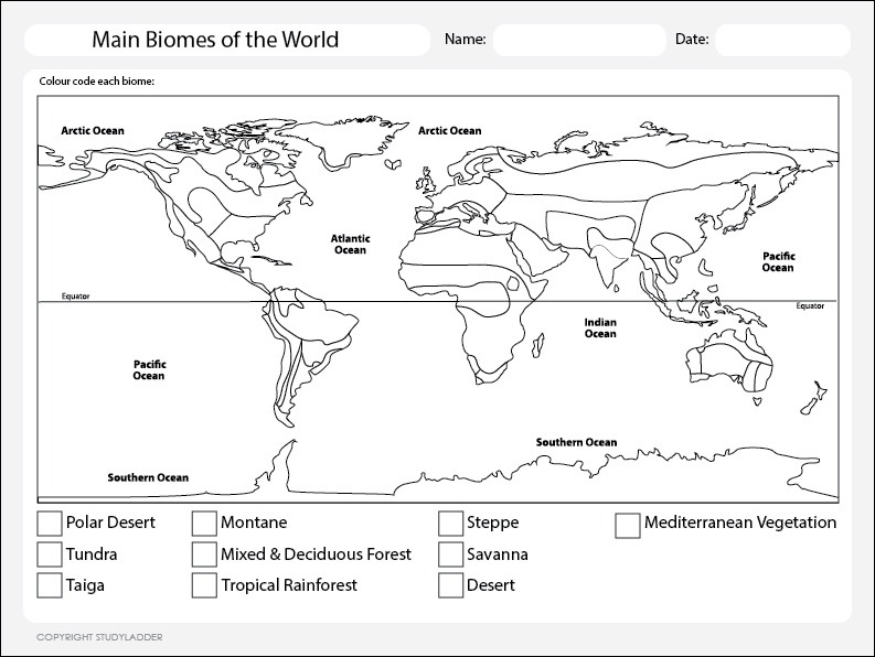 World Map