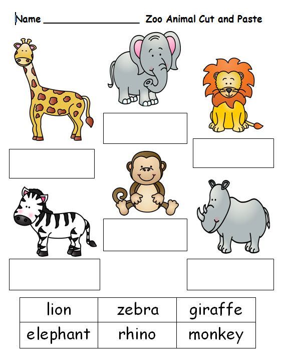 Free Worksheet For Cutting And Pasting Zoo Animal Names  See This