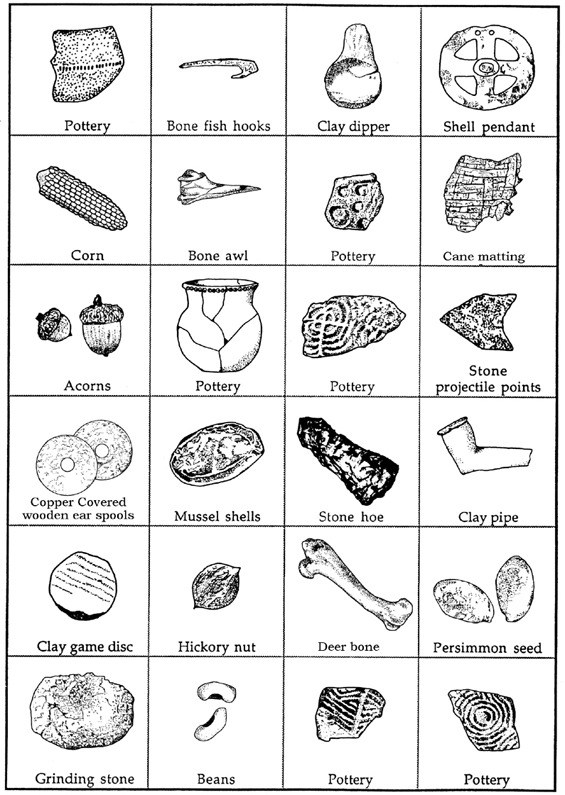 Classification Of Organisms Worksheet Animal Characteristics
