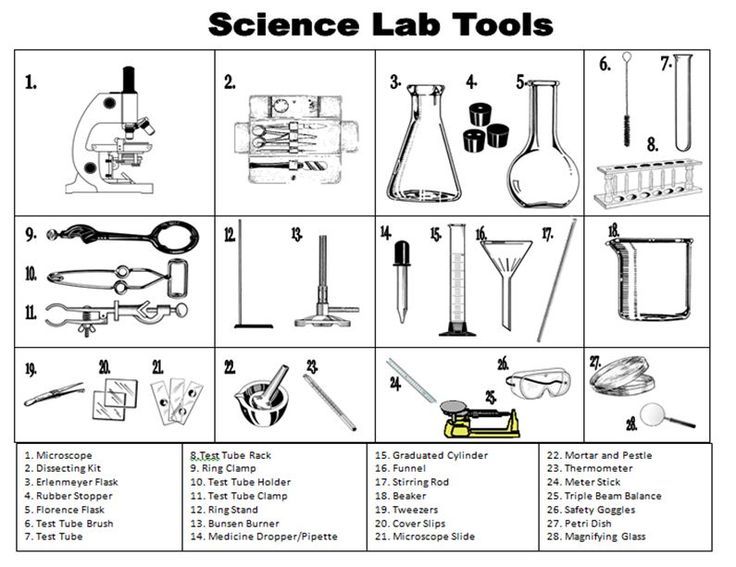 Biology Lab Equipment Worksheets