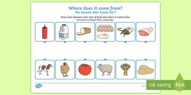 Where Does Food Come From  Worksheet   Worksheet English German