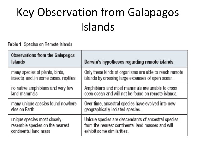Evidence Of Evolution Worksheet Answers