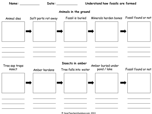 Fossil Worksheets 7th Grade  Worksheet  Free Printable Worksheets