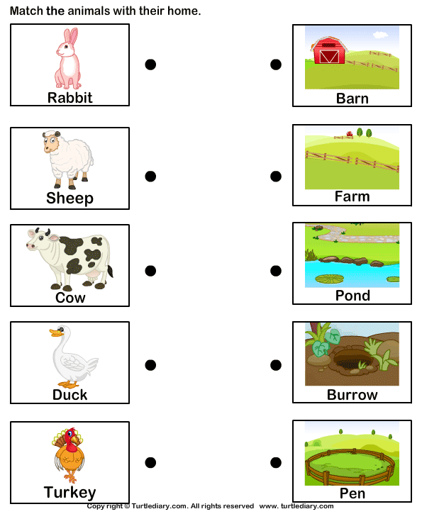 Homes Of Farm Animals Worksheet