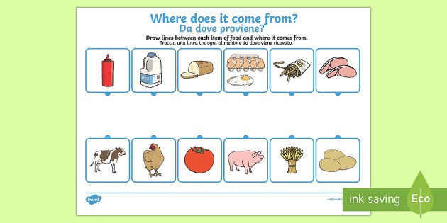 Where Does Food Come From Worksheet   Worksheet