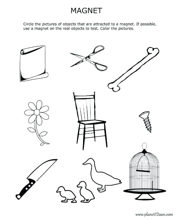 Magnetism Worksheets For Kids