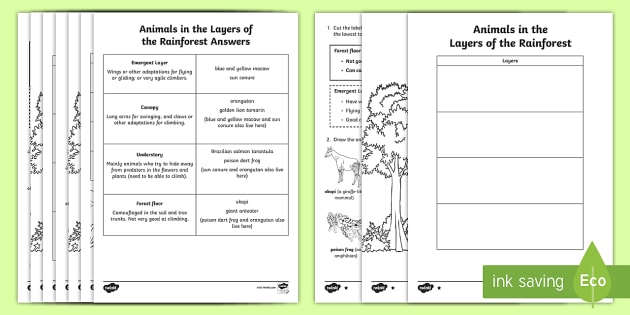 Animals In The Layers Of Amazon Rainforest  Read & Draw Worksheet