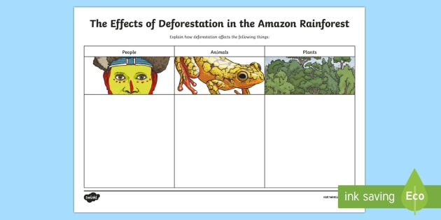 The Effects Of Deforestation In The Amazon Rainforest Writing