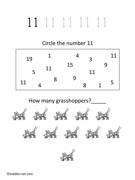 Free Printable Number 11 Worksheet