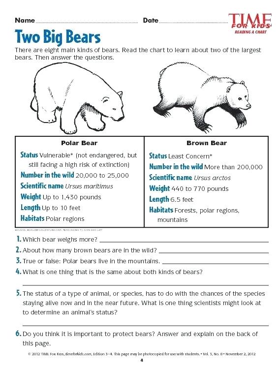 Pets Worksheets Printables