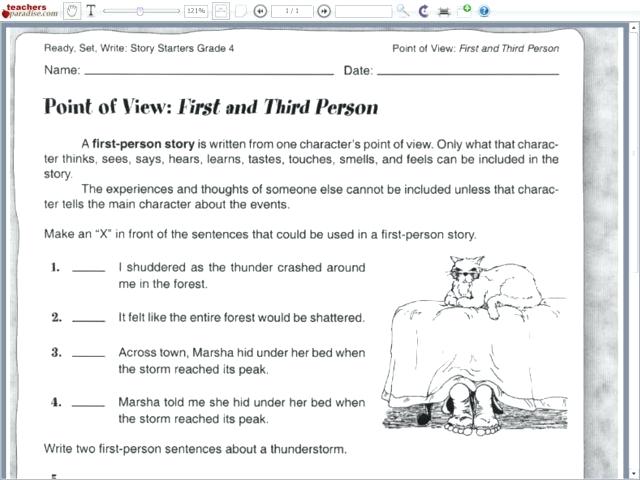 Point Of View Activities For 3rd Grade â Celanadalamwanita Club
