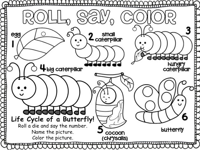 Animal Life Cycle Worksheet For Kids