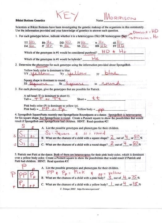 Spectacular Periodic Table Basics Worksheet Answers L97 About