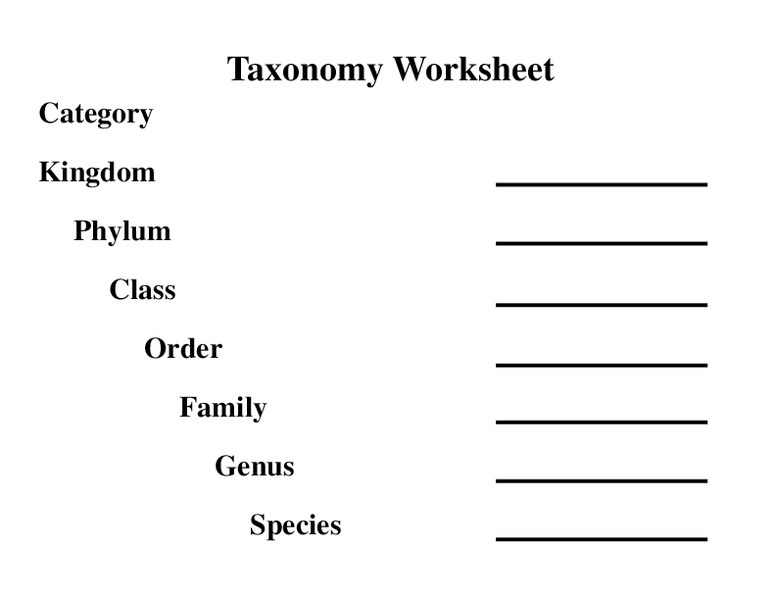 Taxonomy Worksheet First Grade Worksheets Classification Of Matter