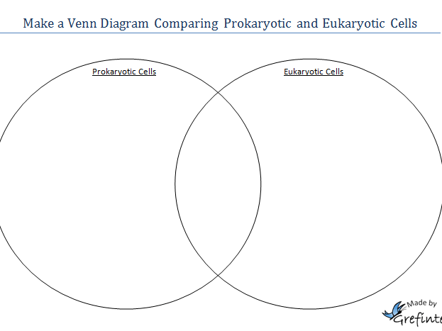 Venn Diagram Prokaryotes And Eukaryotes