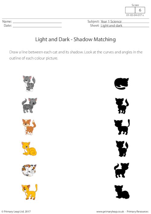 Shadow Matching (cats)