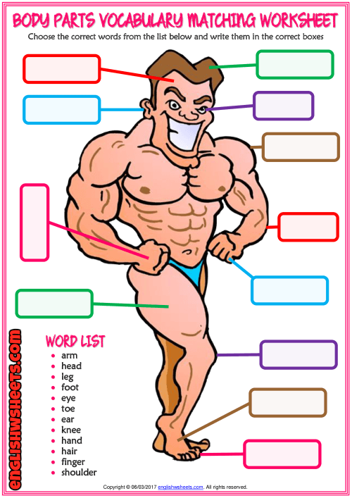A Colorful Matching Exercise Esl Printable Worksheet For Kids To