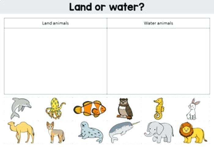 Animals Habitats Worksheets